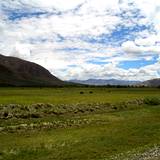 PM09 1001,14928