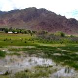 PM09 1001,14899