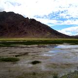 PM09 1001,14902