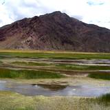 PM09 1001,14910