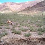 PM09 1001,14942