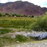 PM09 1001,14898