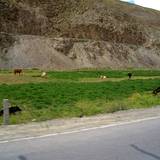 PM09 1001,14872