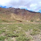 PM09 1001,14946