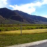 PM09 1001,14751