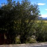 PM09 1001,14765