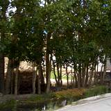 PM09 1001,14876
