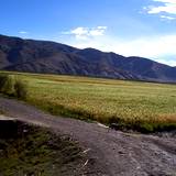 PM09 1001,14756