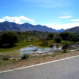 PM09 1001,14781