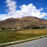 PM09 1001,14890