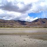 PM09 1001,15006