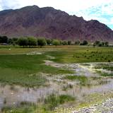 PM09 1001,14897