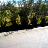 PM09 1001,14770
