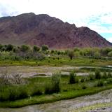 PM09 1001,14900