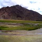 PM09 1001,14914