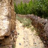 PM09 1001,14986