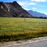 PM09 1001,14759