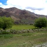 PM09 1001,14933