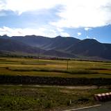 PM09 1001,14748