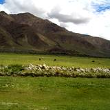 PM09 1001,14930