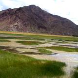 PM09 1001,14909