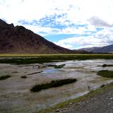 PM09 1001,14901