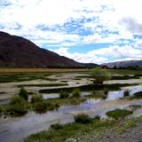 PM09 1001,14906