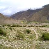 PM09 1001,16796