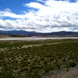 PM09 1001,17094