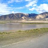 PM09 1001,17164