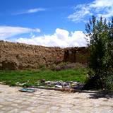 PM09 1001,15979