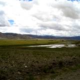 PM09 1001,17117