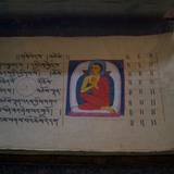 PM09 1001,17568