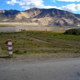 PM09 1001,17167