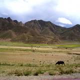 PM09 1001,16165