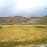 PM09 1001,16239