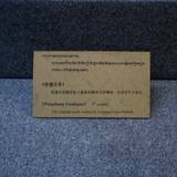 PM09 1001,17864