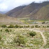 PM09 1001,16797