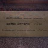 PM09 1001,17574