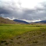 PM09 1001,16226