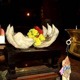 PM09 1001,16415