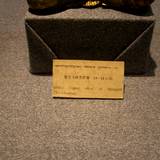 PM09 1001,17748