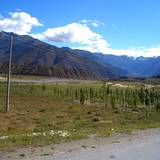 PM09 1001,17171