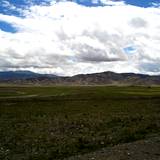 PM09 1001,17114