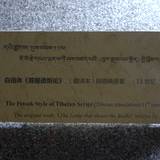 PM09 1001,17525