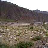 PM09 1001,16786
