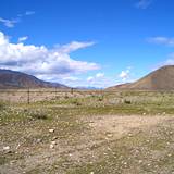 PM09 1001,17331