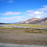 PM09 1001,17173
