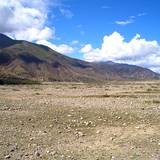PM09 1001,17318