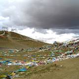 PM09 1001,16208